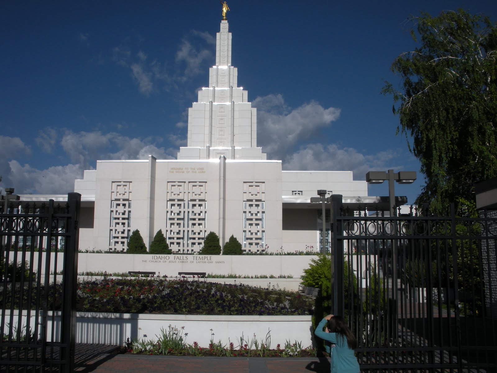 All Things "Arave": Some of the More Famous of the Araves