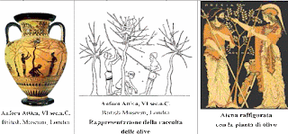 Perché conoscere proprietari paesaggio agrario Salento leccese buone pratiche agricole