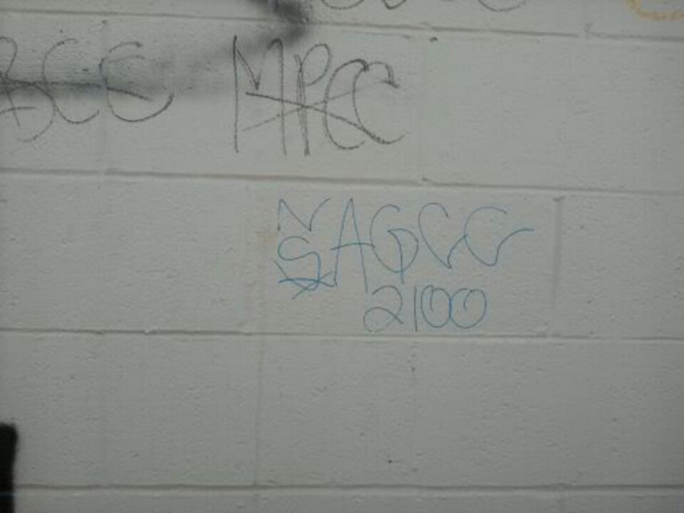 crip gangs graffiti Anzac grape compton crip
