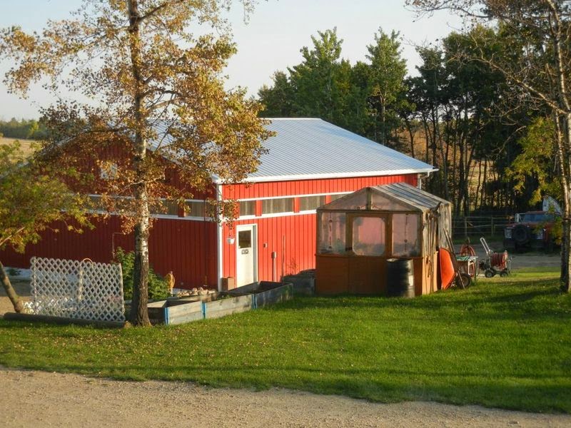 Canadian Horse Business Reviews RED RIBBON FARM