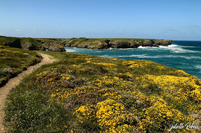 Randonnée sur la côte sauvage de Belle Ile en mer