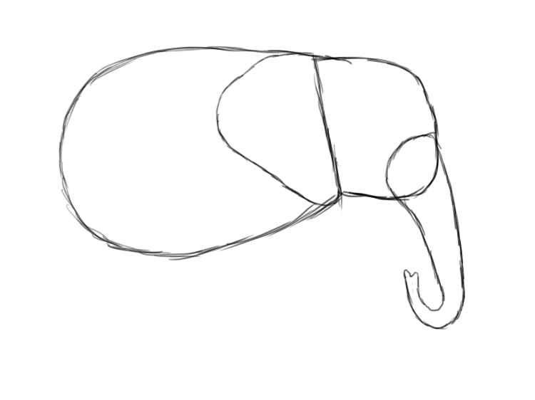 Elephant Ears Drawing