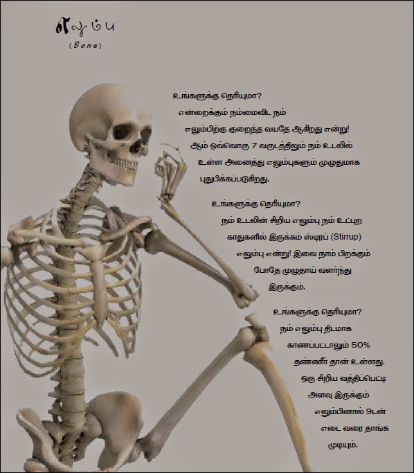 Venkat [I compose music for eyes]: Human Body Facts In Tamil