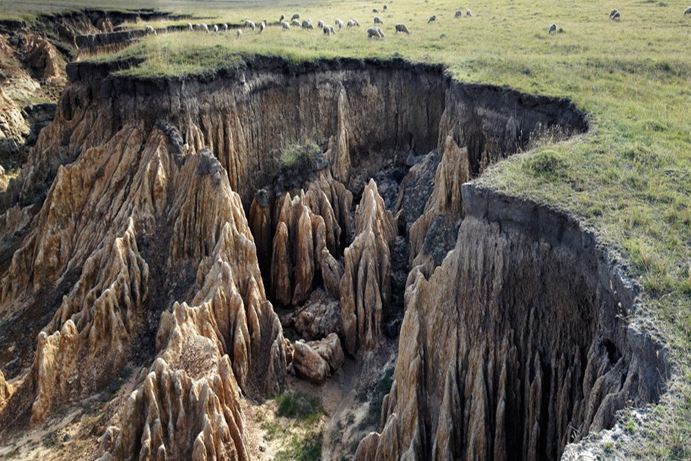 Stages Of Soil Erosion