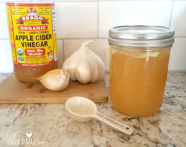 GarlicInfused Apple Cider Vinegar for Better Chicken Health Fresh