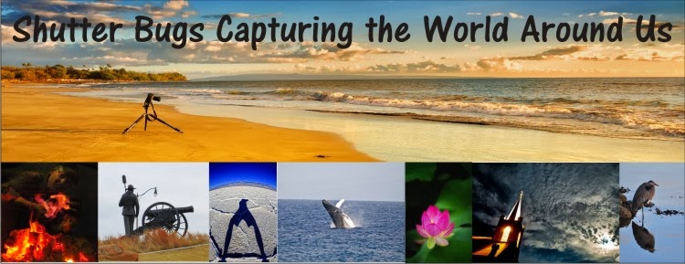 Shutterbugs Capturing the World Around Us