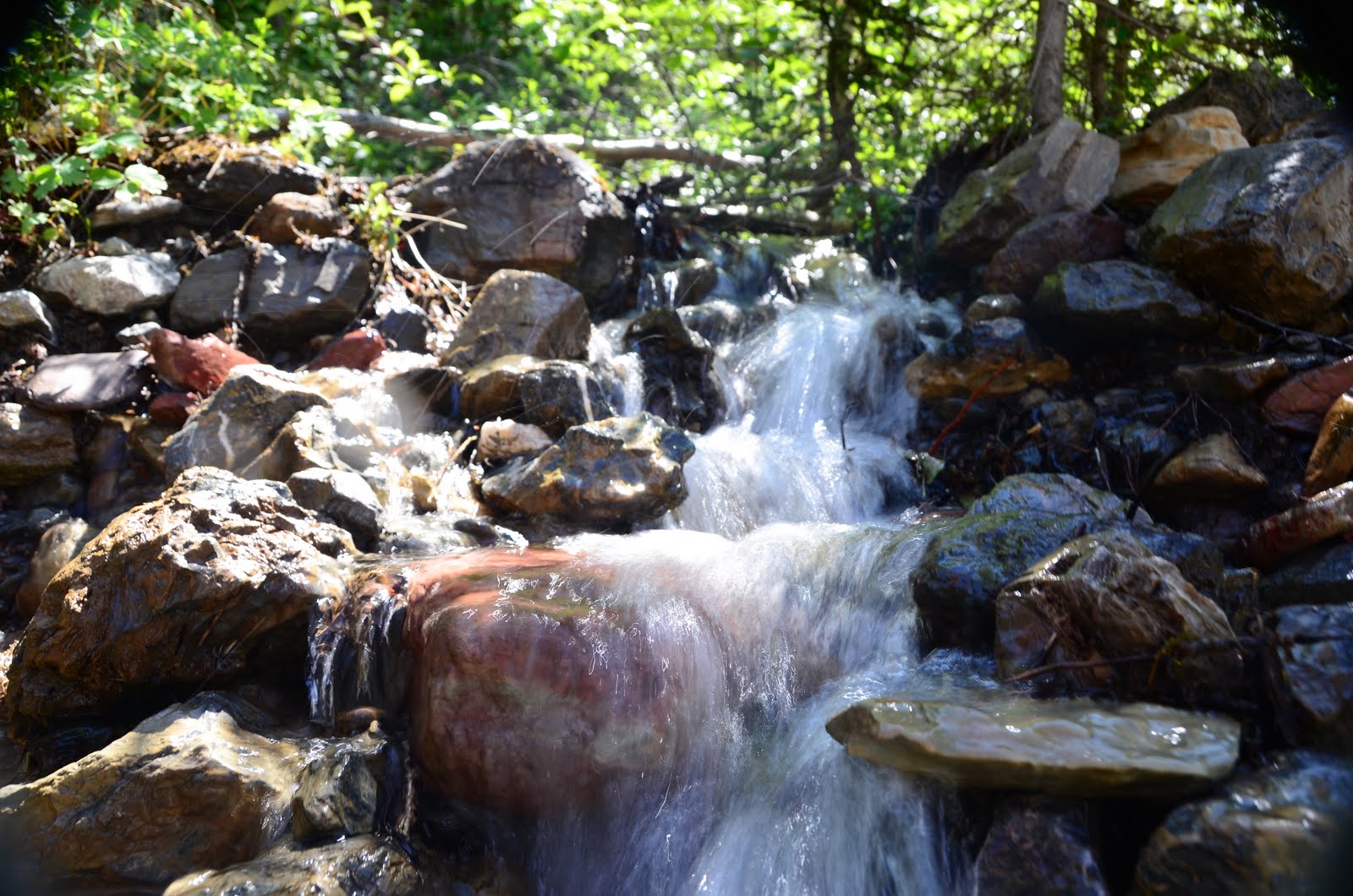 duewest2011 Glacier National Park East Entrance