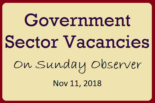 Government Sector Vacancies On Sunday Observer Nov 11, 2018