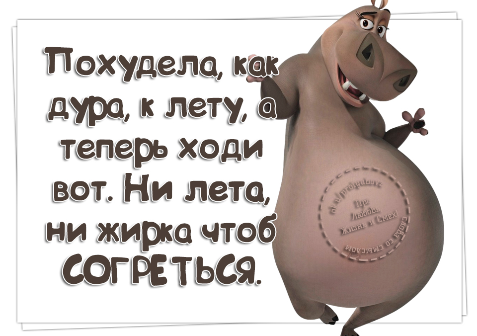Интересные Картинки Про Похудение.