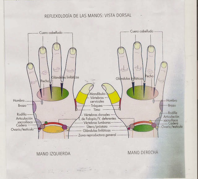 Reflexologia en la mano