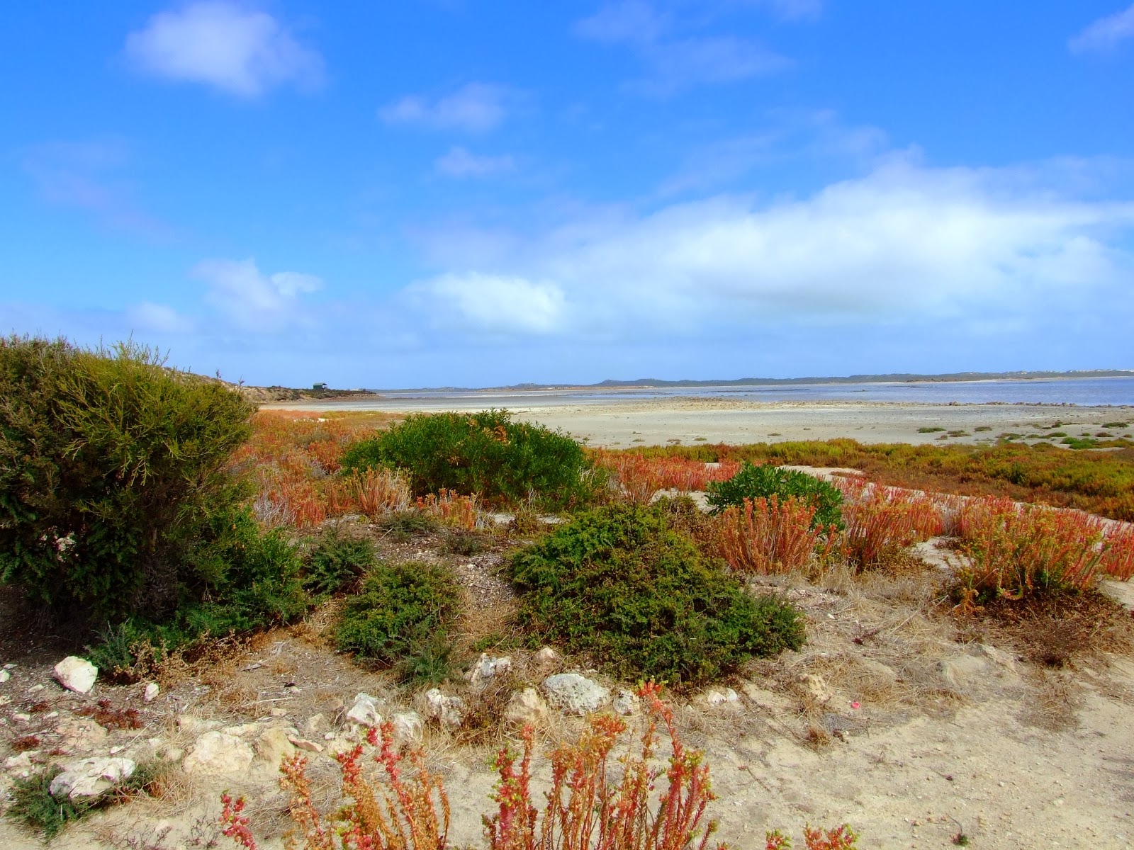 The Coorong