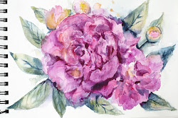 loose peonies watercolor paint tutorial series sketchbook missed check last