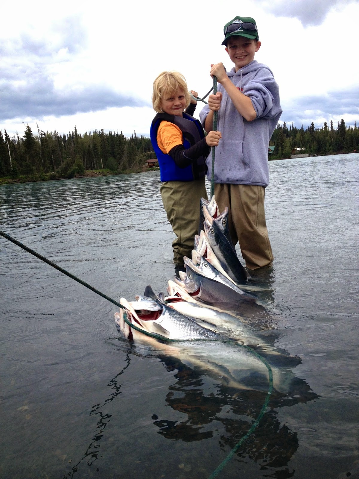 The second run sockeyes and the rainbows