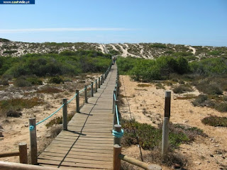 BEACH / Praia da Costa de Santo André, Santiago do Cacém, Portugal