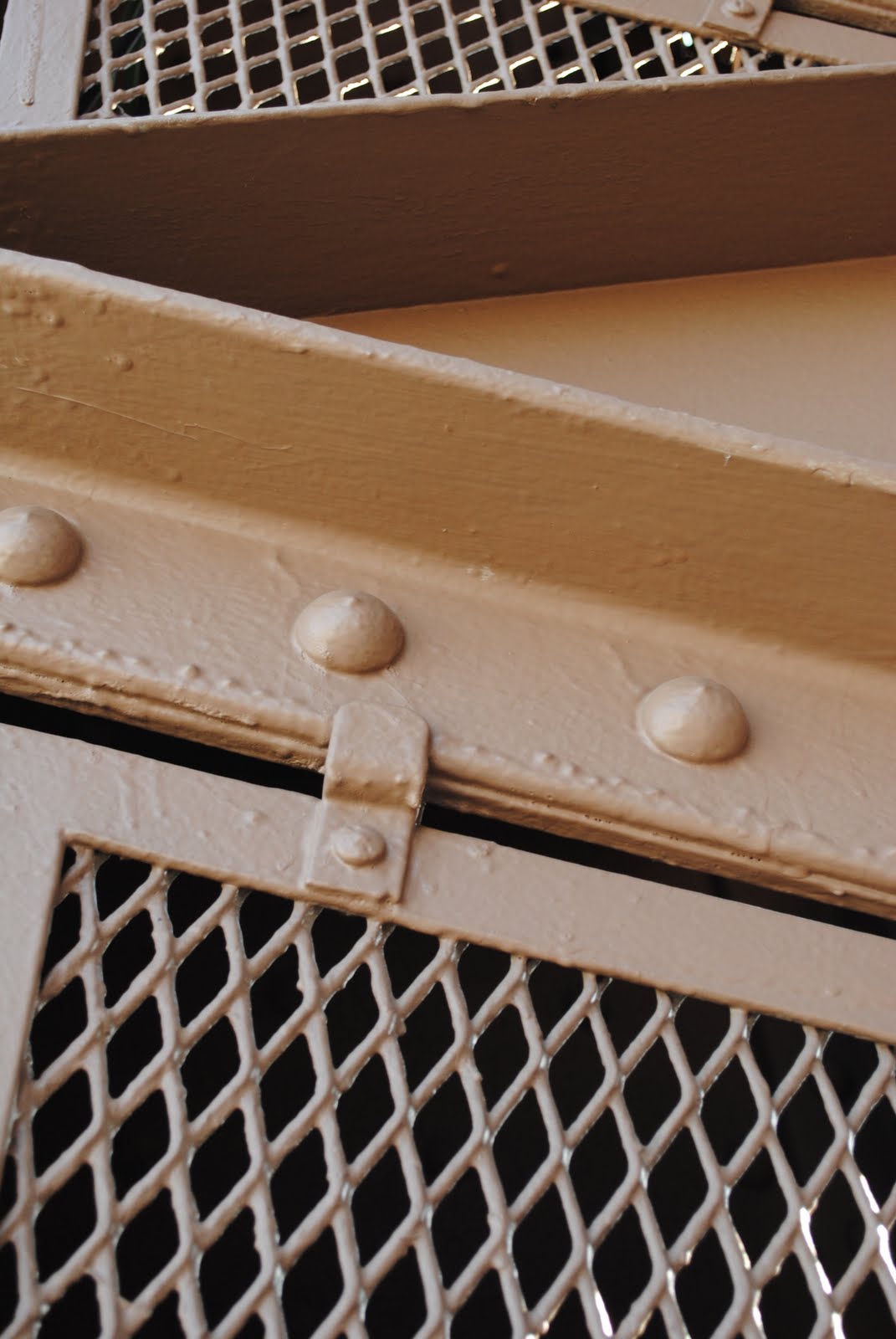 Detail of Eiffel Tower Rivets
