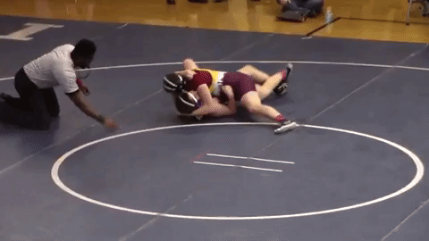 Men Wrestling Women: 2019