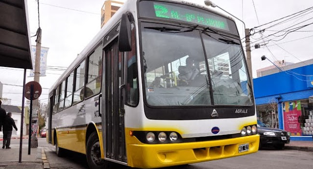 autobuses-eldiariolp.jpg