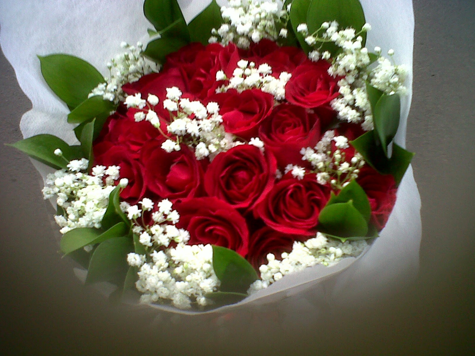 Koleksi Rangkaian Bunga Mawar Cantik