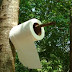 Tissue, si Pembabat Pohon Dunia