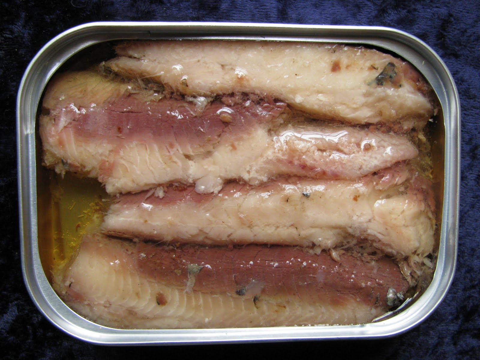 Sardine Fish Indonesia and Reasons of Why You Need to Eat It Fresh