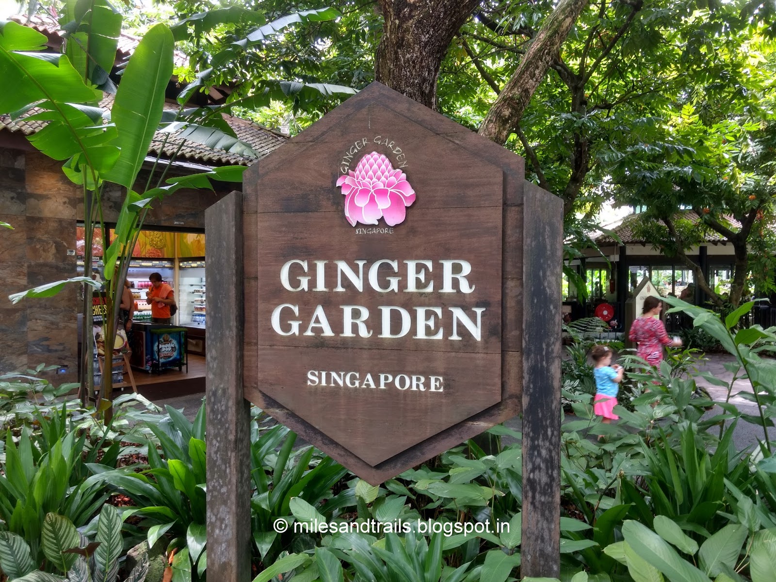 Miles and Trails Singapore Botanic Gardens Singapore Miles and Trails Singapore Botanic Gardens Singapore