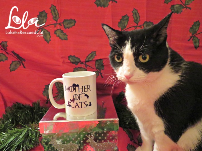 Lola The Rescued Cat Cat Themed Mugs For The Coffee Lover