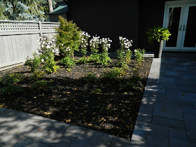 the danforth Toronto garden design after autumn by Paul Jung Gardening Services