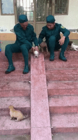20180528075951_mwtkpolw.gif