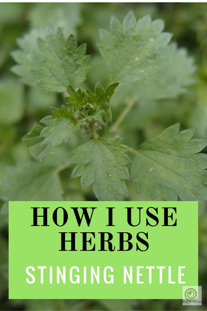 eight acres: how I use herbs - nettles