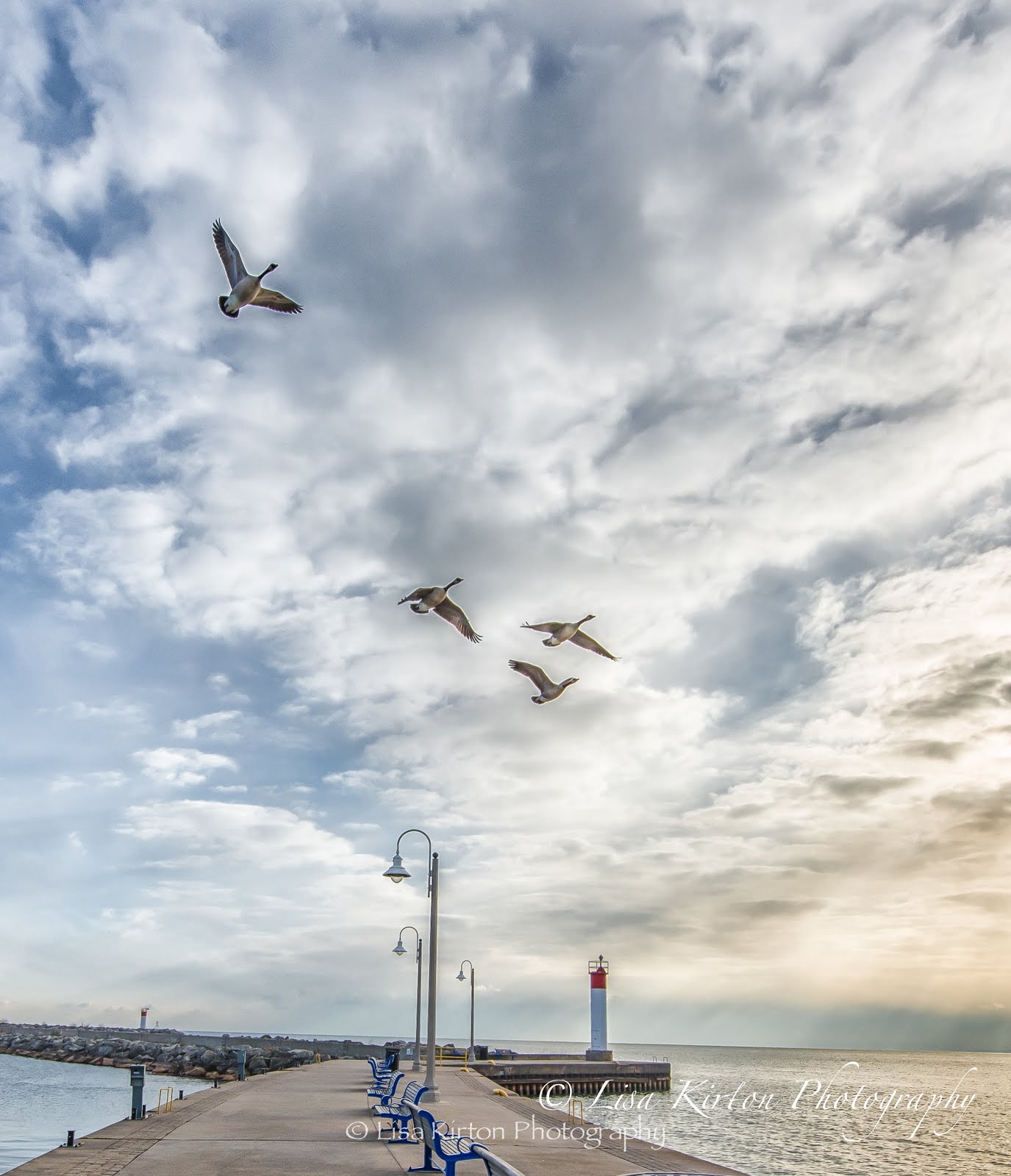 Spring, Bronte Harbour