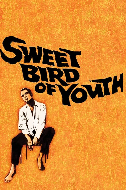 Descargar Dulce pájaro de juventud 1962 Pelicula Completa En Español