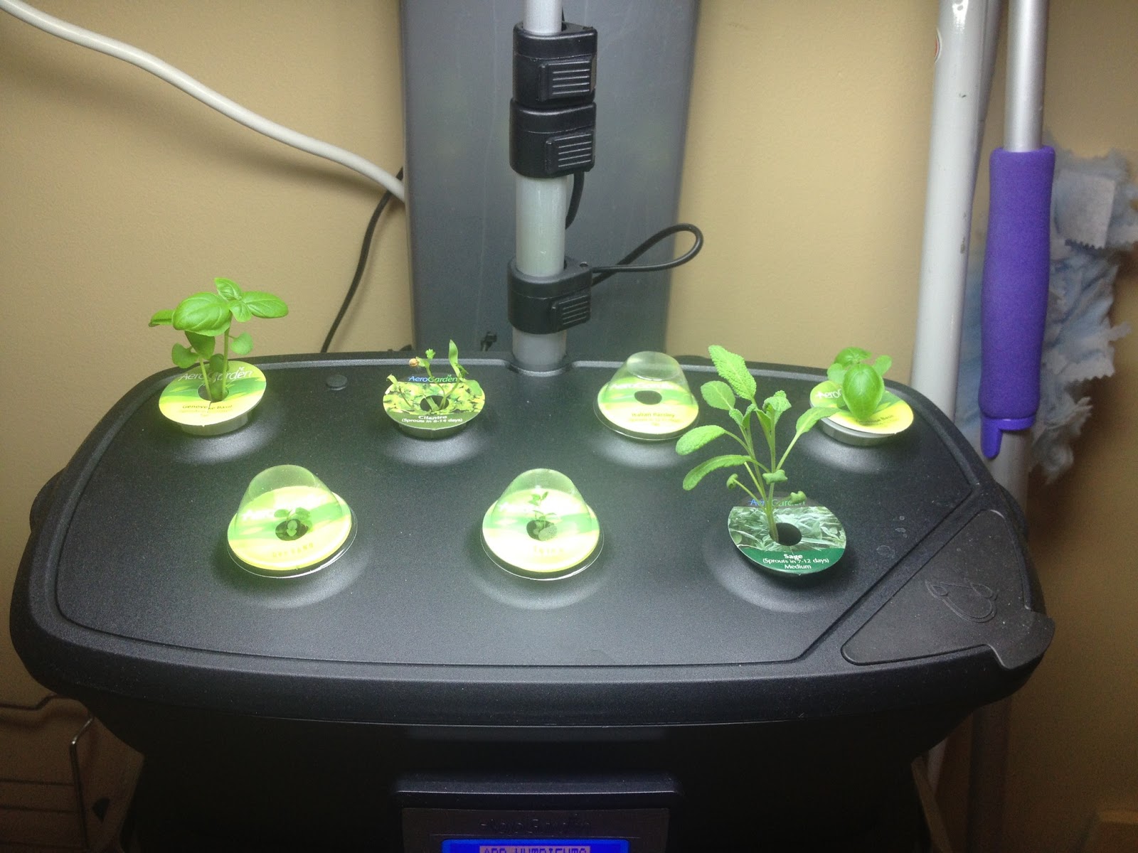 Can I Make My Own Aerogarden Pods / AeroGarden Set of 2 6-Pod Herbs