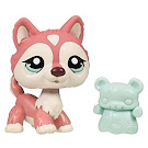 Littlest Pet Shop Singles Husky (#1793) Pet