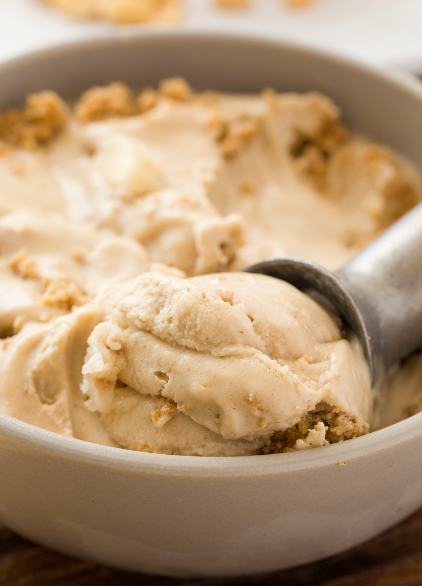 Rich and Creamy, Vegan Peanut Butter Cookie Ice Cream, NoChurn