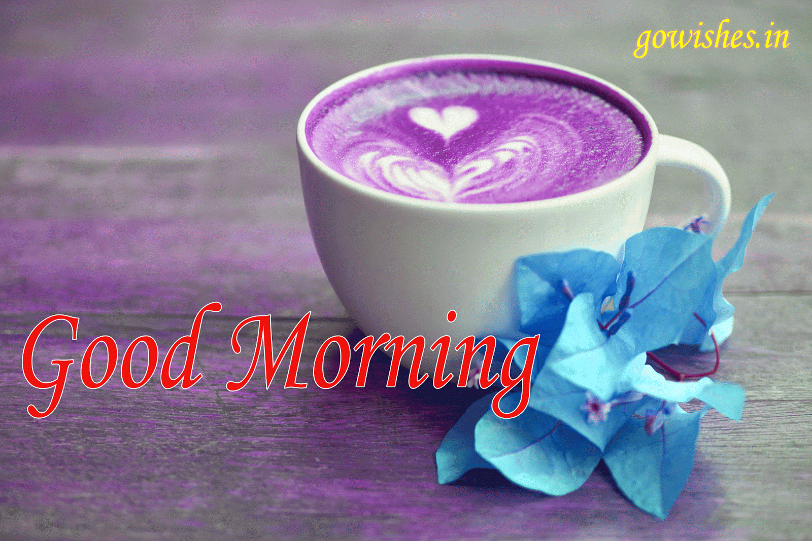 40+ Best Collections Animated Beautiful Animated Good Morning Coffee jpg (1600x1067)