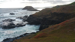 Juan Carlos Mestre. La poesía esencial. Por Santiago Tracón