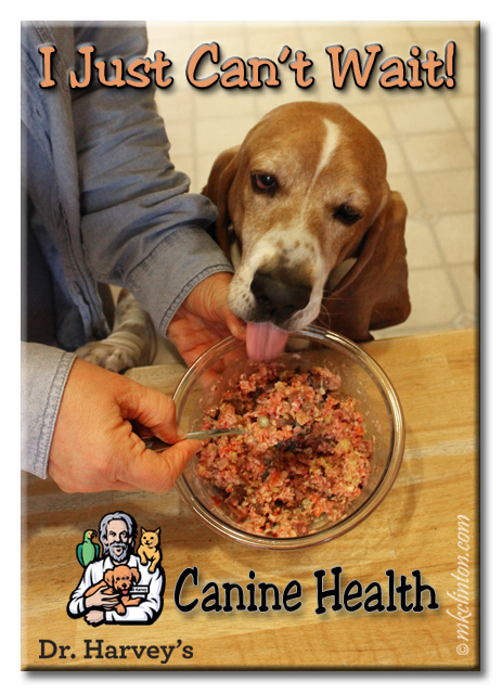 dr harvey's miracle dog food reviews