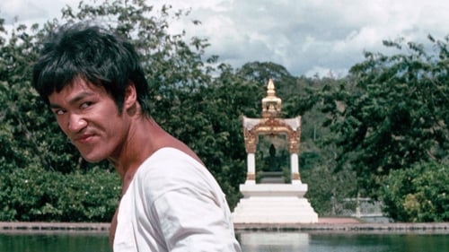 Kárate a muerte en Bangkok 1971 pelicula en linea