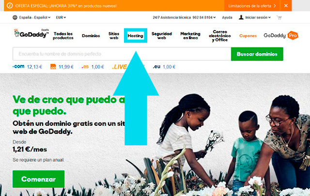 GoDaddy Selección del Hosting