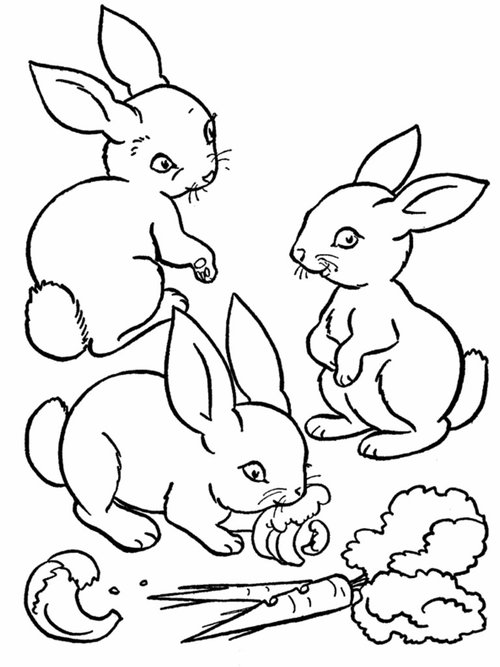 baby coloring pages for kids - photo #18