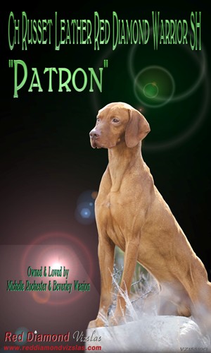 Patron's Ad in the 2012 Vizsla Nationals Catalog