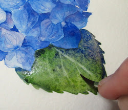 watercolor paint step hydrangea painting flowers technique paintings leaves leaf tutorials watercolour artist flower drawing hydrangeas everyday lesliefehling tutorial water