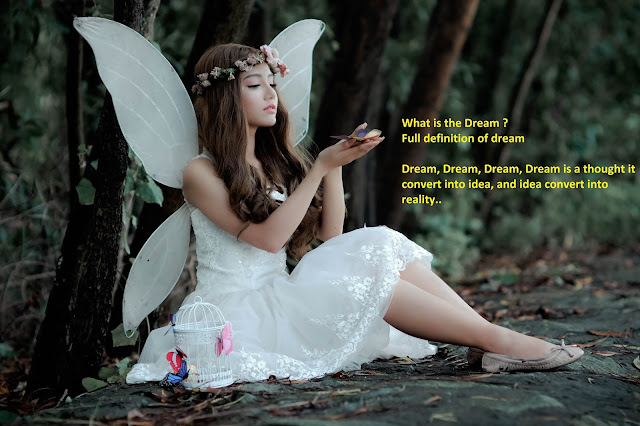 What is the Dream: Full definition of dream What is the Dream: Full definition of dream