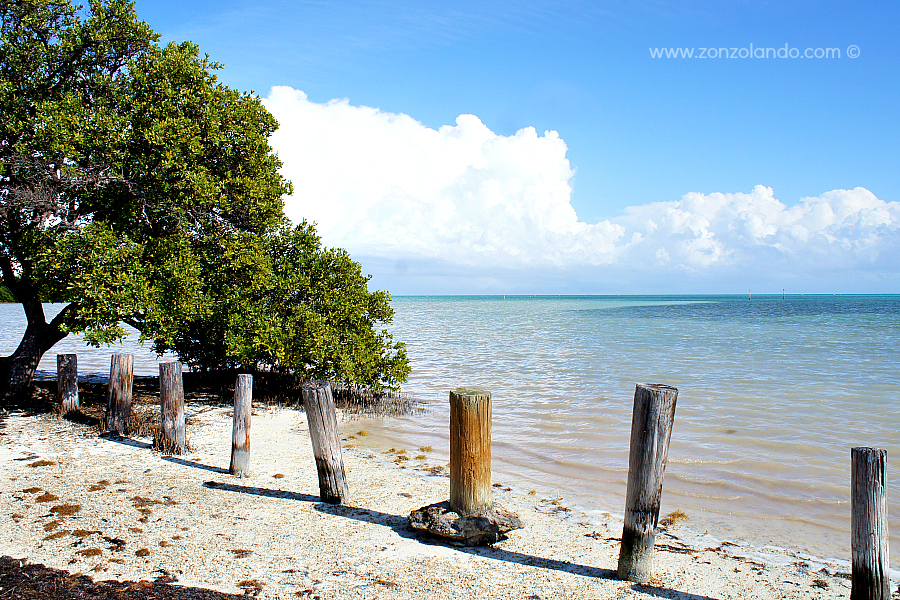 Cosa fare e vedere alle Isole Keys Florida USA caraibi what to see and do America consigli di viaggio trip advices