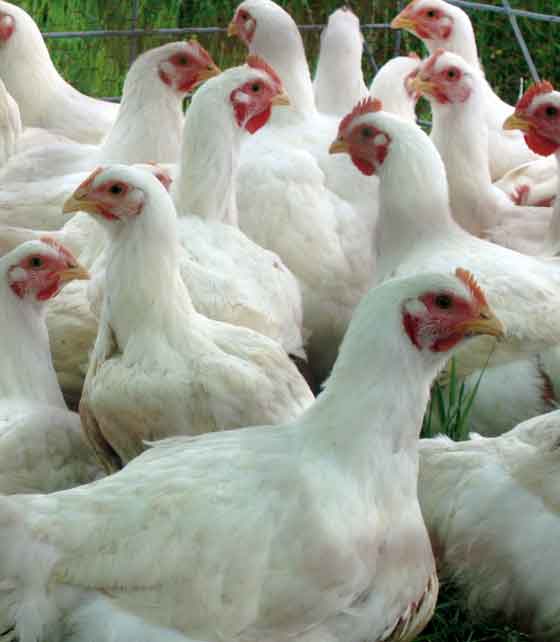 All Help 4 Agriculture 2013