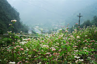 du lịch hà giang