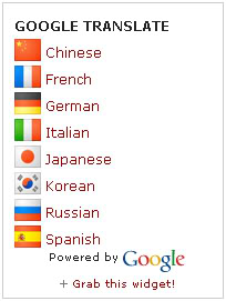 Google Translate Widgets