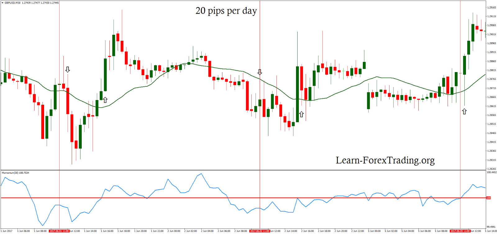Forex 20 pips per day