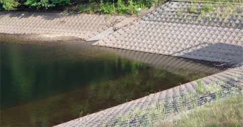 6月はバス釣りに良い時期らしいがボウズ たのびぼ