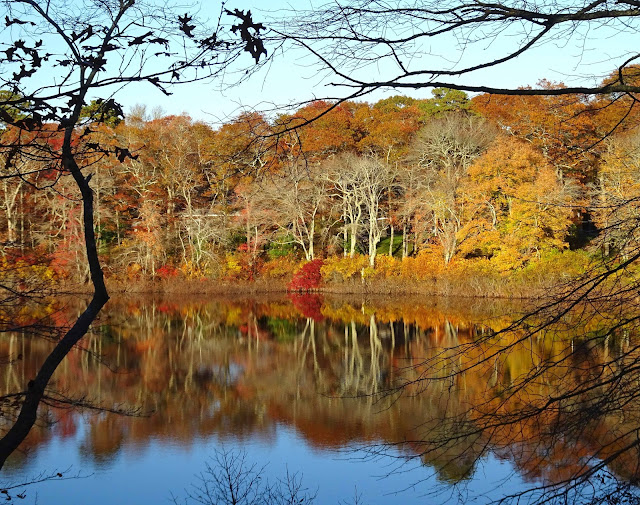 Joe's Retirement Blog A Manomet Walk, Rabbit Pond, Manomet, Plymouth